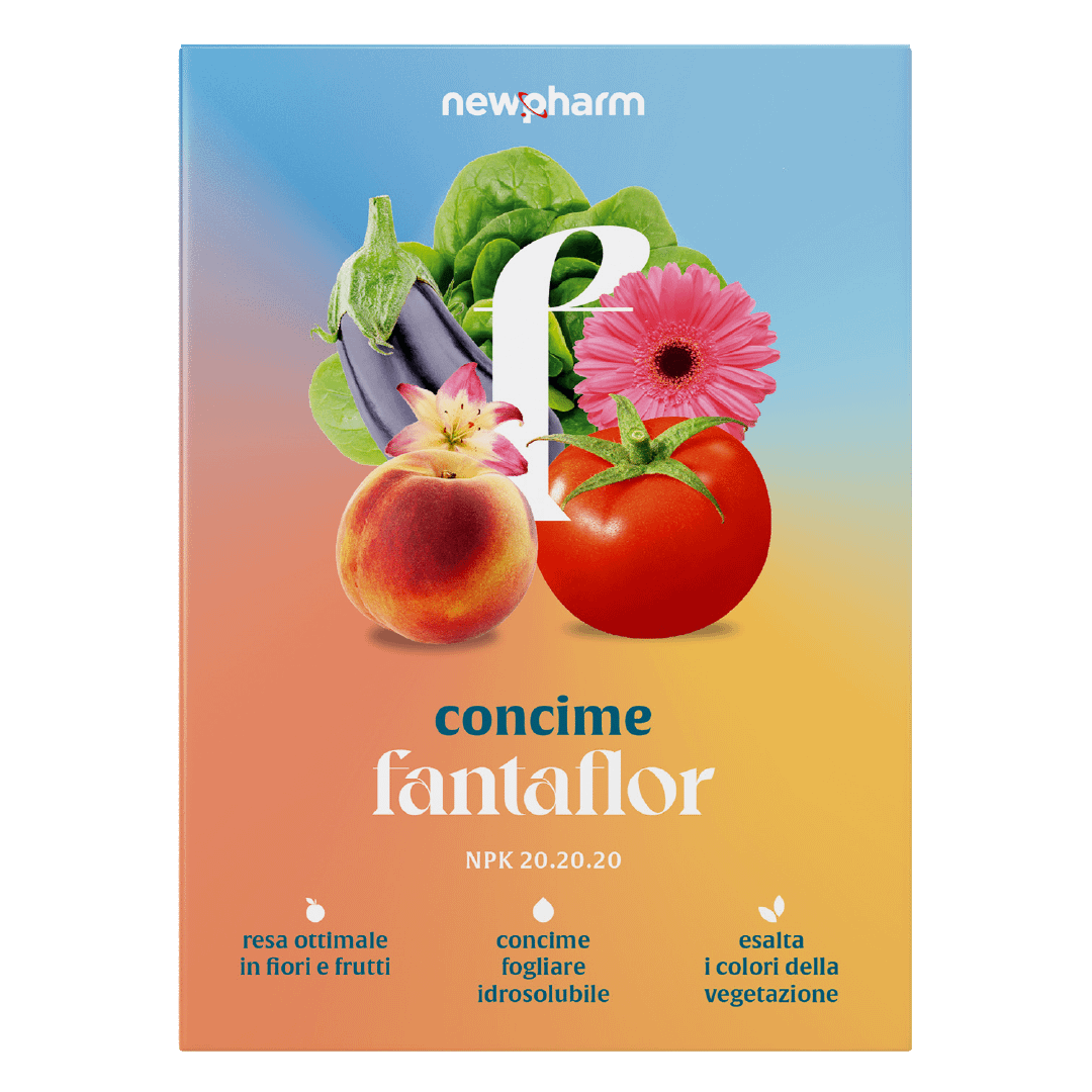 Concime inorganico Fantaflor NPK 20-20-20 con microelementi