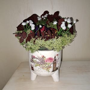 Vasetto muschio e foglie stabilizzato.