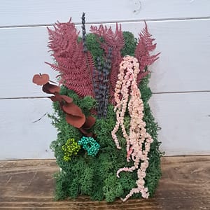 QUADRO DI VERDE STABILIZZATO