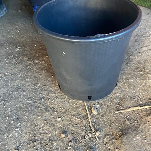 Vaso nero vivaio 22 x 22 LT 7