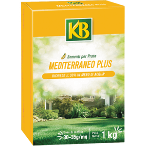 Semi per prato Mediterraneo Plus KB