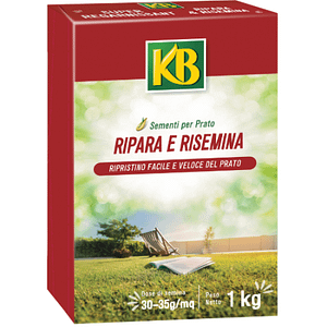 Semi per prato Ripara e Risemina KB