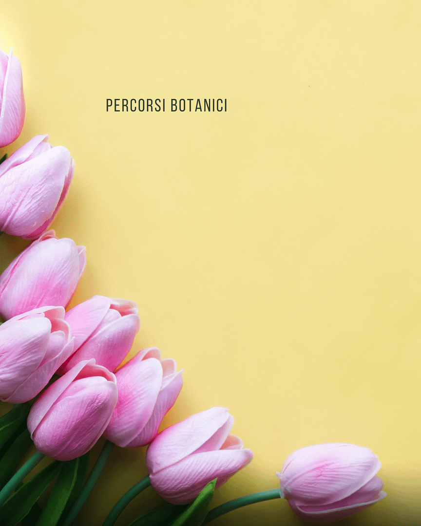 Allestimenti floreali